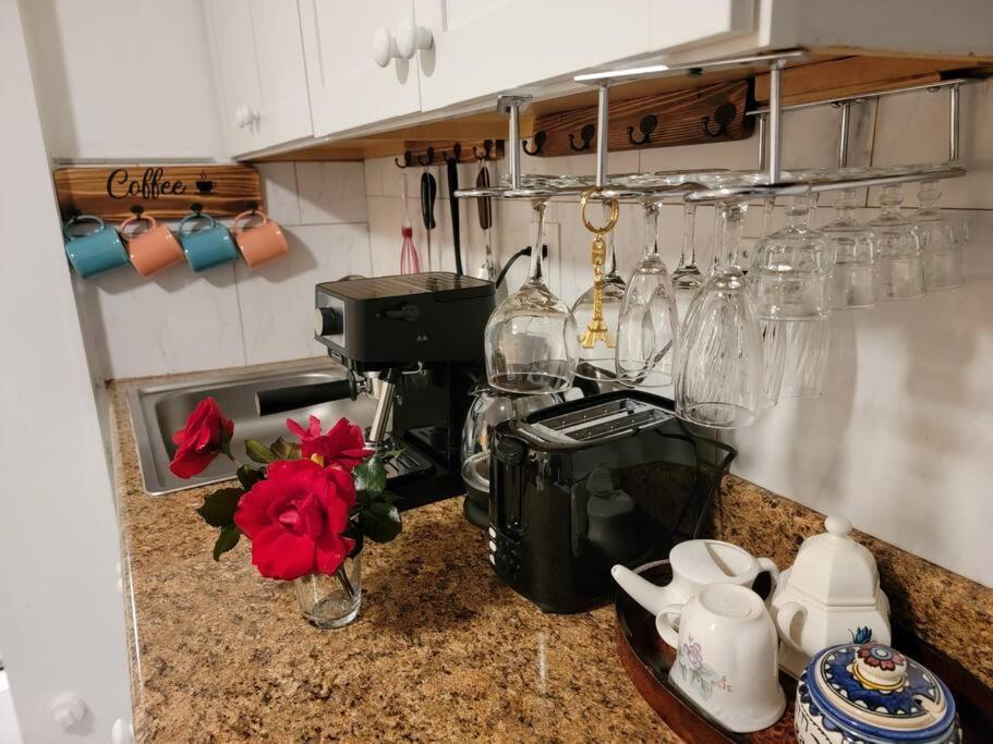 Comfy And Chic Boston Apartment! Free Parking Exterior foto